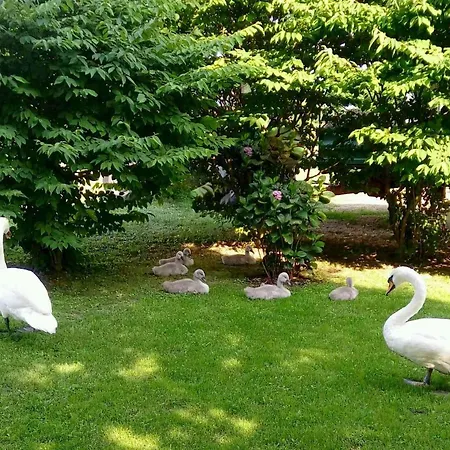 Apartma Pax Poetovio Potony