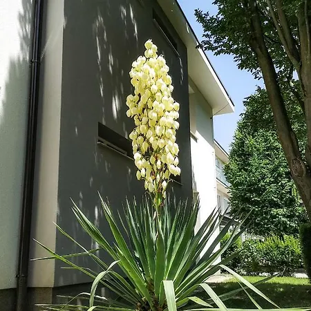 Apartma Pax Poetovio * Potony